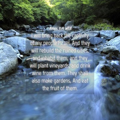 Picture 04 - Amos 9:14 WEB - I will bring back the captivity of my people - Bible Verse Picture