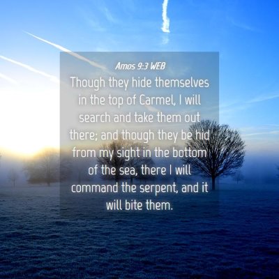 Picture 04 - Amos 9:3 WEB - Though they hide themselves in the top of Carmel, - Bible Verse Picture