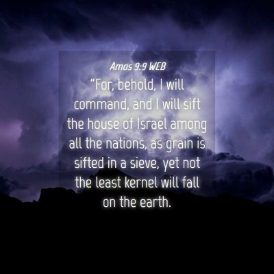 Picture 04 - Amos 9:9 WEB - 