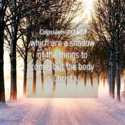 Picture 04 - Colossians 2:17 WEB - which are a shadow of the things to come; but the - Bible Verse Picture