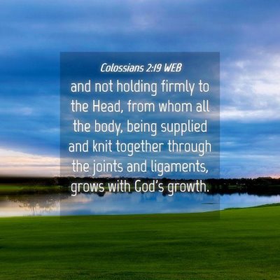 Picture 04 - Colossians 2:19 WEB - and not holding firmly to the Head, from whom all - Bible Verse Picture