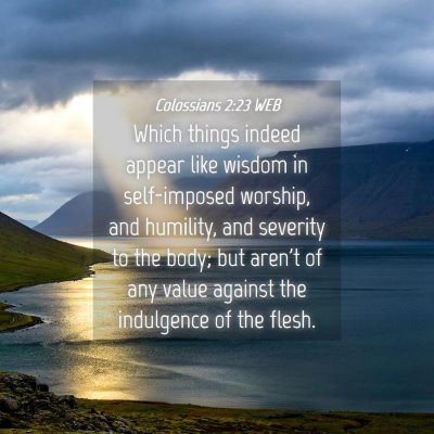 Picture 04 - Colossians 2:23 WEB - Which things indeed appear like wisdom in - Bible Verse Picture