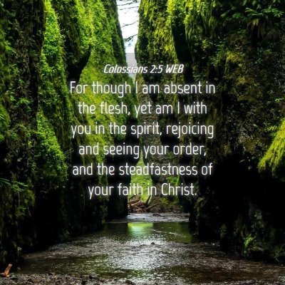 Picture 04 - Colossians 2:5 WEB - For though I am absent in the flesh, yet am I - Bible Verse Picture