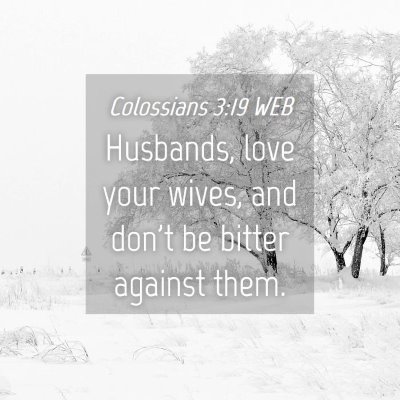 Picture 04 - Colossians 3:19 WEB - Husbands, love your wives, and don't be bitter - Bible Verse Picture