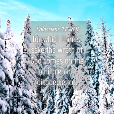 Picture 04 - Colossians 3:6 WEB - for which things' sake the wrath of God comes on - Bible Verse Picture