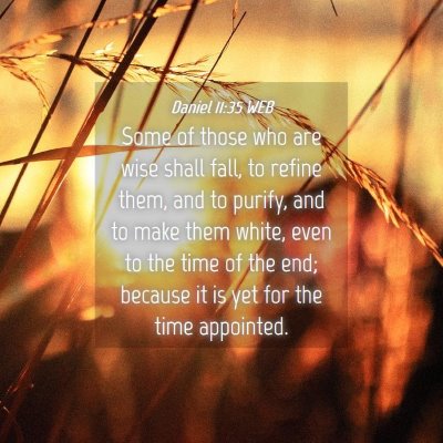 Picture 04 - Daniel 11:35 WEB - Some of those who are wise shall fall, to refine - Bible Verse Picture