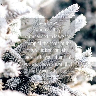 Picture 04 - Daniel 4:26 WEB - Whereas they commanded to leave the stump of the - Bible Verse Picture