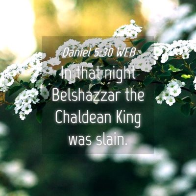 Picture 04 - Daniel 5:30 WEB - In that night Belshazzar the Chaldean King was - Bible Verse Picture