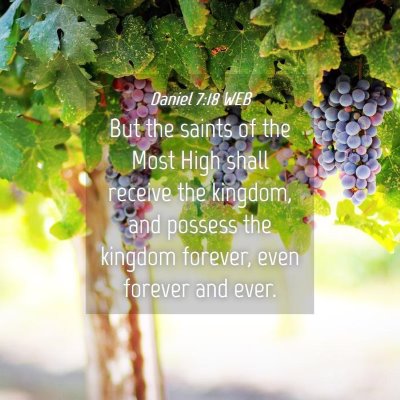 Picture 04 - Daniel 7:18 WEB - But the saints of the Most High shall receive the - Bible Verse Picture