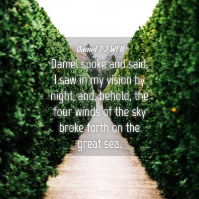 Picture 04 - Daniel 7:2 WEB - Daniel spoke and said, I saw in my vision by - Bible Verse Picture