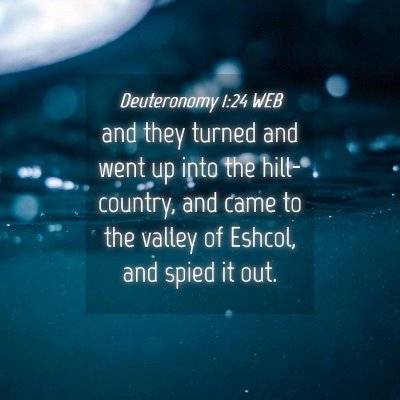 Picture 04 - Deuteronomy 1:24 WEB - and they turned and went up into the - Bible Verse Picture