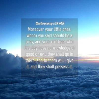 Picture 04 - Deuteronomy 1:39 WEB - Moreover your little ones, whom you said should - Bible Verse Picture