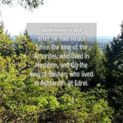Picture 04 - Deuteronomy 1:4 WEB - after he had struck Sihon the king of the - Bible Verse Picture