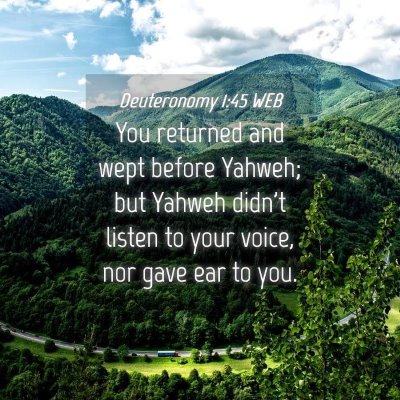 Picture 04 - Deuteronomy 1:45 WEB - You returned and wept before Yahweh; but Yahweh - Bible Verse Picture