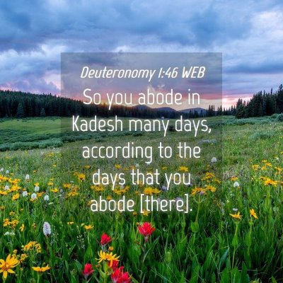 Picture 04 - Deuteronomy 1:46 WEB - So you abode in Kadesh many days, according to - Bible Verse Picture