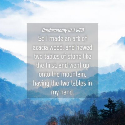 Picture 04 - Deuteronomy 10:3 WEB - So I made an ark of acacia wood, and hewed two - Bible Verse Picture