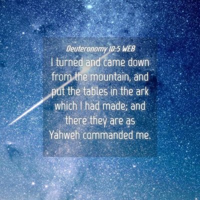 Picture 04 - Deuteronomy 10:5 WEB - I turned and came down from the mountain, and put - Bible Verse Picture