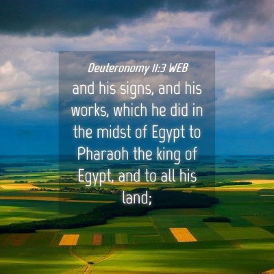 Picture 04 - Deuteronomy 11:3 WEB - and his signs, and his works, which he did in the - Bible Verse Picture