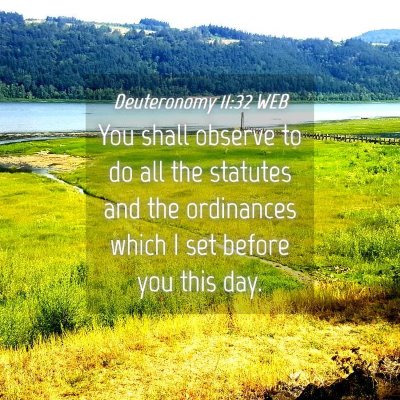 Picture 04 - Deuteronomy 11:32 WEB - You shall observe to do all the statutes and the - Bible Verse Picture