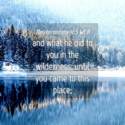 Picture 04 - Deuteronomy 11:5 WEB - and what he did to you in the wilderness, until - Bible Verse Picture