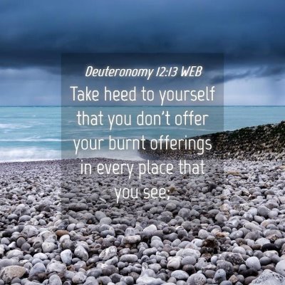 Picture 04 - Deuteronomy 12:13 WEB - Take heed to yourself that you don't offer your - Bible Verse Picture