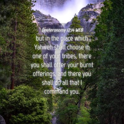 Picture 04 - Deuteronomy 12:14 WEB - but in the place which Yahweh shall choose in one - Bible Verse Picture