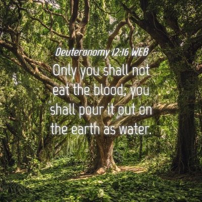 Picture 04 - Deuteronomy 12:16 WEB - Only you shall not eat the blood; you shall pour - Bible Verse Picture