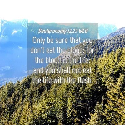 Picture 04 - Deuteronomy 12:23 WEB - Only be sure that you don't eat the blood: for - Bible Verse Picture