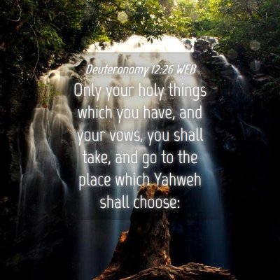 Picture 04 - Deuteronomy 12:26 WEB - Only your holy things which you have, and your - Bible Verse Picture