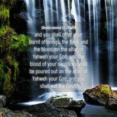 Picture 04 - Deuteronomy 12:27 WEB - and you shall offer your burnt offerings, the - Bible Verse Picture