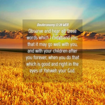 Picture 04 - Deuteronomy 12:28 WEB - Observe and hear all these words which I command - Bible Verse Picture