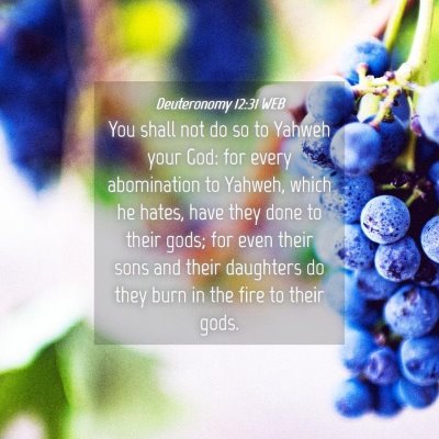 Picture 04 - Deuteronomy 12:31 WEB - You shall not do so to Yahweh your God: for every - Bible Verse Picture