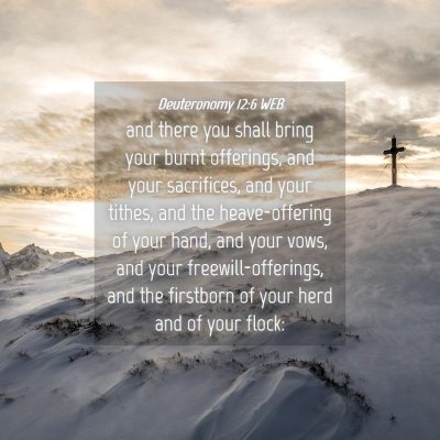 Picture 04 - Deuteronomy 12:6 WEB - and there you shall bring your burnt offerings, - Bible Verse Picture