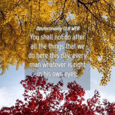 Picture 04 - Deuteronomy 12:8 WEB - You shall not do after all the things that we do - Bible Verse Picture