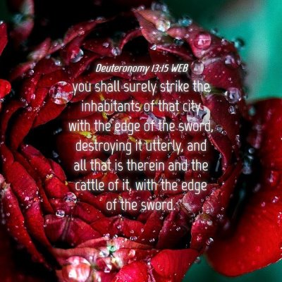 Picture 04 - Deuteronomy 13:15 WEB - you shall surely strike the inhabitants of that - Bible Verse Picture