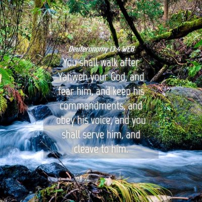 Picture 04 - Deuteronomy 13:4 WEB - You shall walk after Yahweh your God, and fear - Bible Verse Picture