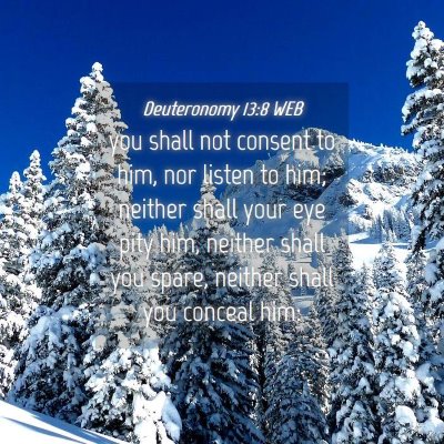 Picture 04 - Deuteronomy 13:8 WEB - you shall not consent to him, nor listen to him; - Bible Verse Picture