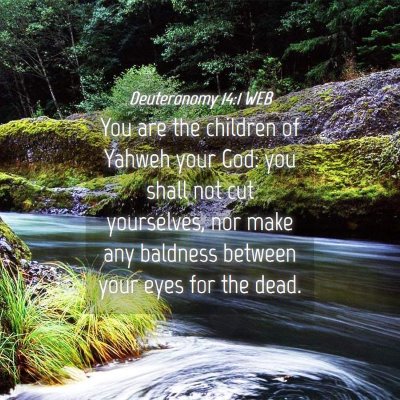 Picture 04 - Deuteronomy 14:1 WEB - You are the children of Yahweh your God: you - Bible Verse Picture