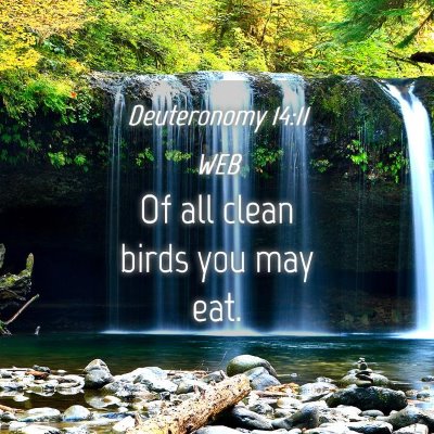 Picture 04 - Deuteronomy 14:11 WEB - Of all clean birds you may - Bible Verse Picture