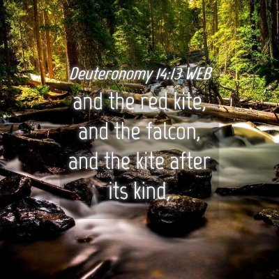 Picture 04 - Deuteronomy 14:13 WEB - and the red kite, and the falcon, and the kite - Bible Verse Picture