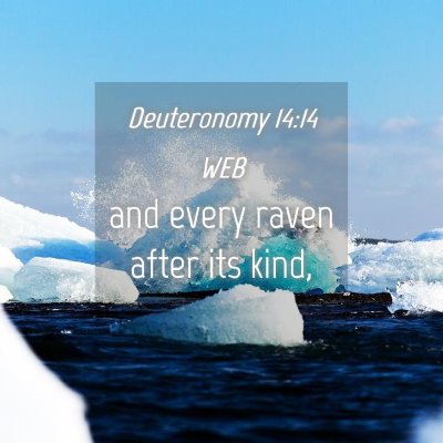 Picture 04 - Deuteronomy 14:14 WEB - and every raven after its - Bible Verse Picture