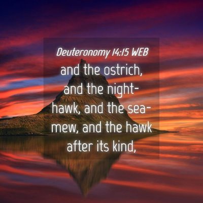 Picture 04 - Deuteronomy 14:15 WEB - and the ostrich, and the night-hawk, and the - Bible Verse Picture