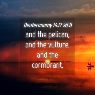 Picture 04 - Deuteronomy 14:17 WEB - and the pelican, and the vulture, and the - Bible Verse Picture