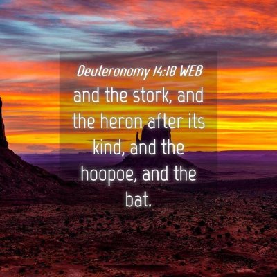Picture 04 - Deuteronomy 14:18 WEB - and the stork, and the heron after its kind, and - Bible Verse Picture