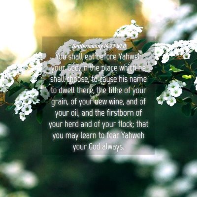 Picture 04 - Deuteronomy 14:23 WEB - You shall eat before Yahweh your God, in the - Bible Verse Picture