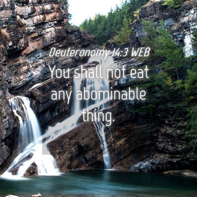 Picture 04 - Deuteronomy 14:3 WEB - You shall not eat any abominable - Bible Verse Picture