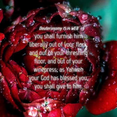 Picture 04 - Deuteronomy 15:14 WEB - you shall furnish him liberally out of your - Bible Verse Picture