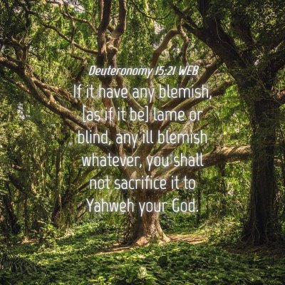Picture 04 - Deuteronomy 15:21 WEB - If it have any blemish, [as if it be] lame or - Bible Verse Picture