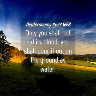 Picture 04 - Deuteronomy 15:23 WEB - Only you shall not eat its blood; you shall pour - Bible Verse Picture