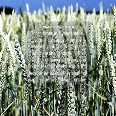 Picture 04 - Deuteronomy 16:16 WEB - Three times in a year shall all your males appear - Bible Verse Picture